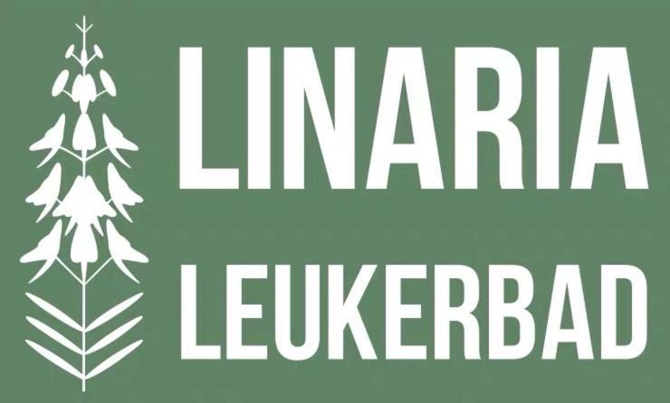 Center, Sauna, View - Haus Linaria Leukerbad Eksteriør bilde